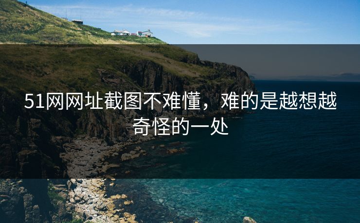 51网网址截图不难懂，难的是越想越奇怪的一处