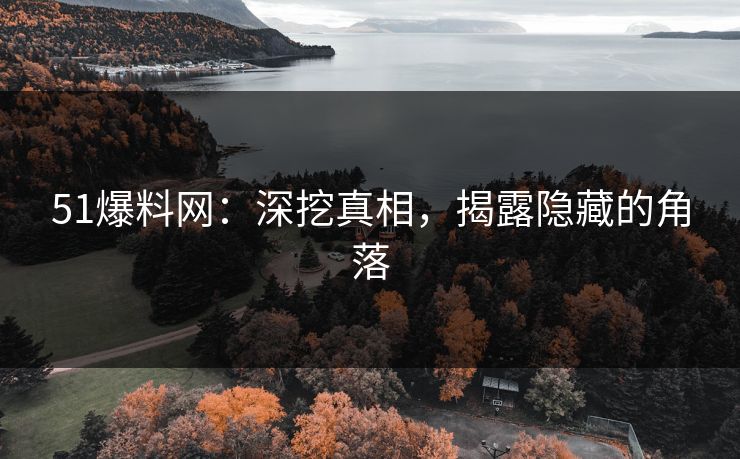 51爆料网:深挖真相,揭露隐藏的角落