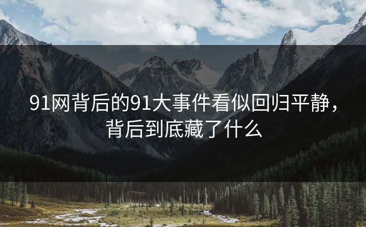 91网背后的91大事件看似回归平静，背后到底藏了什么